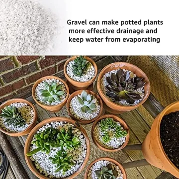 Anothera Succulent Bonsai Rocks for DIY Gardens and Aquariums