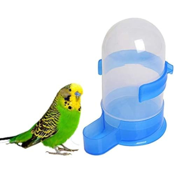 Premium Bird Feeder for Parrots and Small Birds: Mess-Free Feeding Solution