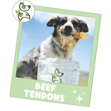 Nature Gnaws Beef Tendons for Dogs 4-5" (12 Count) - Mixed Thickness - Long Lasting for Small and Medium Dogs - Natural Beef Jerky Dog Chew Bones - Rawhide Free