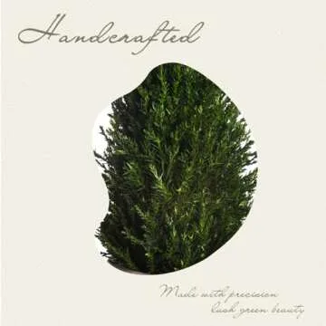 LeafLuxe Mini Natural Pine Christmas Tree with Ceramic Planter - 10 Inch Tabletop Miniature Tree for Festive Home Decor