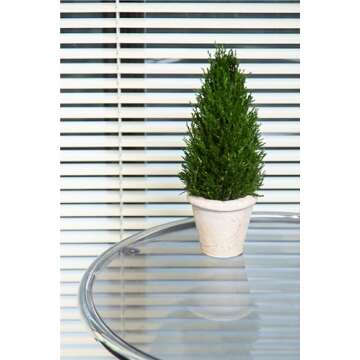 LeafLuxe Mini Natural Pine Christmas Tree with Ceramic Planter - 10 Inch Tabletop Miniature Tree for Festive Home Decor