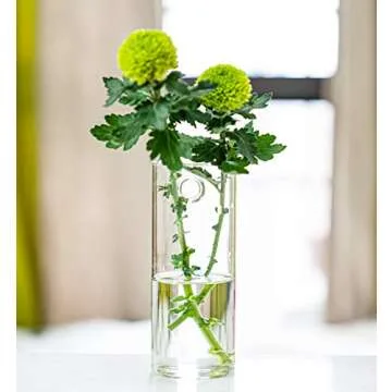 Kingbuy Glass Planter Terrarium Plant Propagation Station Wall Hanging for Home Office Decor, Medium...