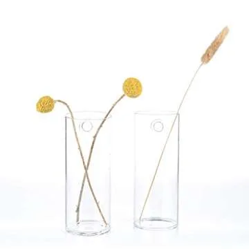 Kingbuy Glass Planter Terrarium Plant Propagation Station Wall Hanging for Home Office Decor, Medium Cylinder, 2 Pack