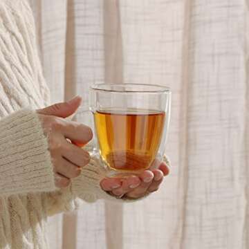 Elegant Double Walled Glass Coffee Mugs Set of 4