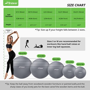 Trideer Yoga Ball - Heavy Duty Exercise Ball with Pump