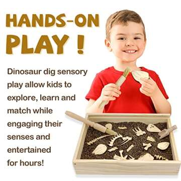 Dinosaur Excavation Archaeology Dig Kit for Kids, Fossil Explore Sensory Bin Toys, Dino Skeletons Bones Puzzle Game, Archaeology Science STEM Toys for Boys and Girls (Stegosaurus)