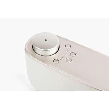 Aera Home Hygiene Mint and Eucalyptus Home Fragrance Scent Refill - Notes of Spearmint, Eucalyptus and Orange Peel Essential Oils - Works with The Aera Diffuser