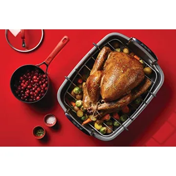 Circulon Nonstick Roasting Pan 17x13 Inch Gray
