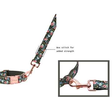 ARING PET Dog Leash, Cotton & Webbing Strong Dog Leashes, Handmade Walking Dog Leash for Small Medium Large Dogs.