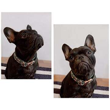 ARING PET Dog Leash, Cotton & Webbing Strong Dog Leashes, Handmade Walking Dog Leash for Small Medium Large Dogs.