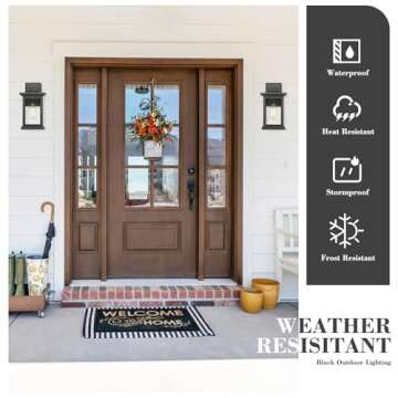 Emliviar Outdoor Wall Mount Lights 2 Pack, 1-Light Exterior Sconces Lantern in Black Finish with Clear Seeded Glass, OS-1803EW1-2PK