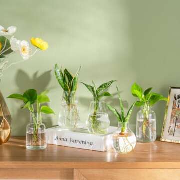 Mkono Propagation Vases for Plants, Set of 5 Small Glass Jar Planters for Hydroponic Cutting Flowers...
