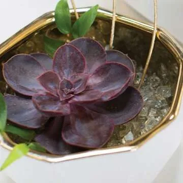 Birsppy White and Gold Geometric Decorative Bowl 5.5 x 3 Inches