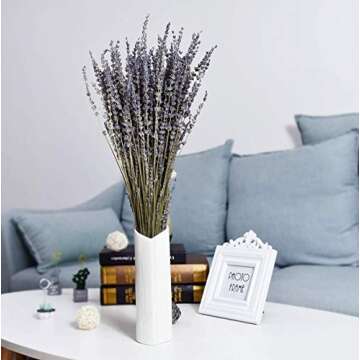 Lavender Bundles%100 Fresh Dried Natural Lavender Flowers for Home Fragrance, Home Decoration, Photo Props, 2 Bundles, Car Smell