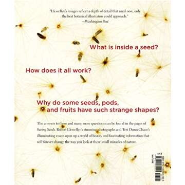 Seeing Seeds: A Journey into the World of Seedheads, Pods, and Fruit (Seeing Series)
