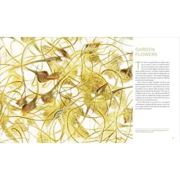 Seeing Seeds: Explore Nature’s Stunning Seedheads