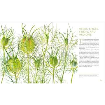 Seeing Seeds: Explore Nature’s Stunning Seedheads