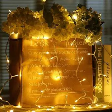 ColuzPro 108 ft 300 LED String Lights Indoor Outdoor, 30V Plug in Warm White Twinkle Fairy String Lights 8 Modes Waterproof for Christmas Wedding Party Fastival Decor