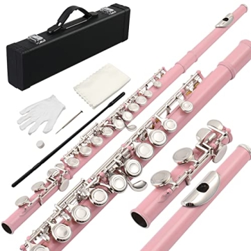 Ktaxon C Closed Hole Flute Kit - 16 Keys Musical Instrument in Pink