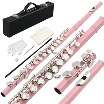 Ktaxon C Closed Hole Flute Kit - 16 Keys Musical Instrument in Pink
