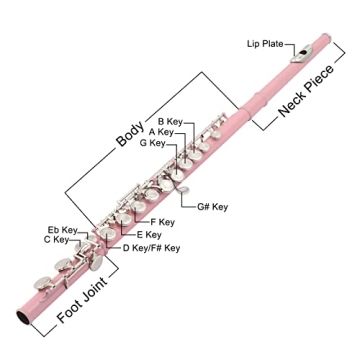 Ktaxon C Closed Hole Flute for Students and Beginners