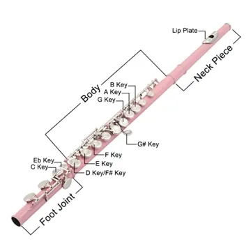 Ktaxon C Closed Hole Flute for Students and Beginners
