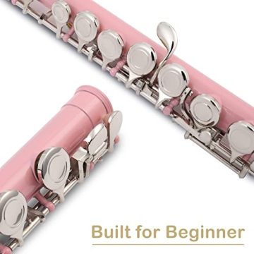 Ktaxon C Closed Hole Flute for Students and Beginners