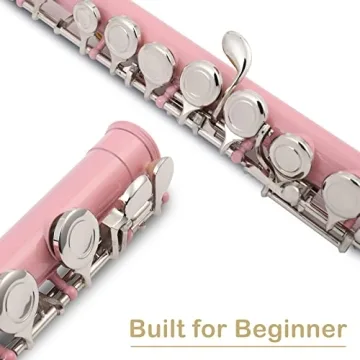 Ktaxon C Closed Hole Flute for Students and Beginners