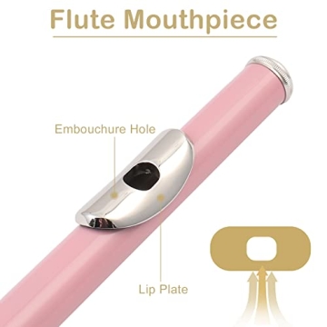 Ktaxon C Closed Hole Flute for Students and Beginners
