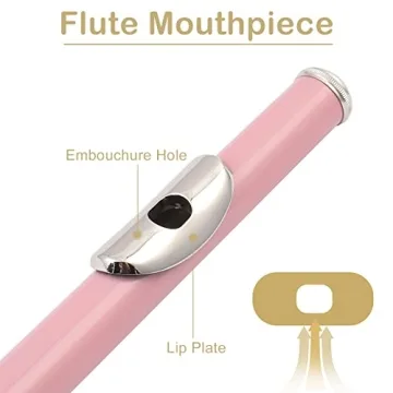 Ktaxon C Closed Hole Flute for Students and Beginners