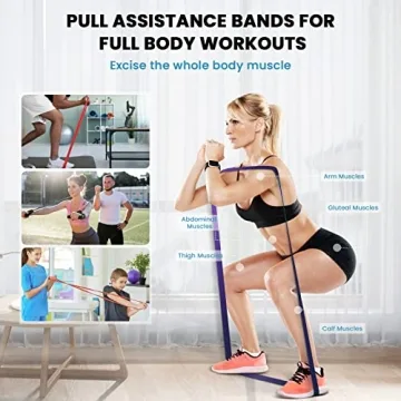 Bob and Brad Resistance Band Set- Portable and Versatile