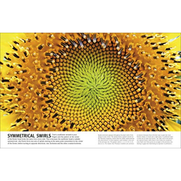 Trees, Leaves, Flowers and Seeds: A Visual Encyclopedia of the Plant Kingdom (DK Our World in Pictures)