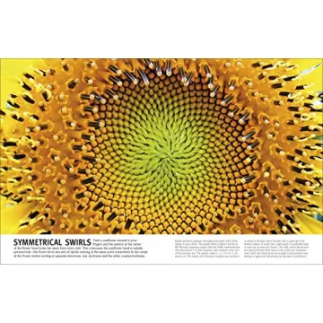 Trees, Leaves, Flowers and Seeds: A Visual Encyclopedia of the Plant Kingdom (DK Our World in Pictures)