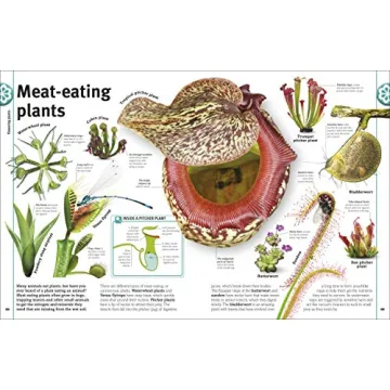 Trees, Leaves, Flowers and Seeds: A Visual Encyclopedia of the Plant Kingdom (DK Our World in Pictures)