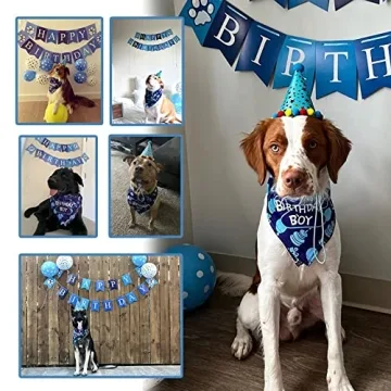 Delightful TCBOYING Dog Birthday Party Supplies for Pets