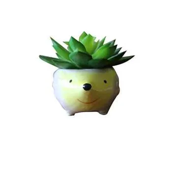 Cute Lemon Hedgehog Succulent Planter - Perfect Gift