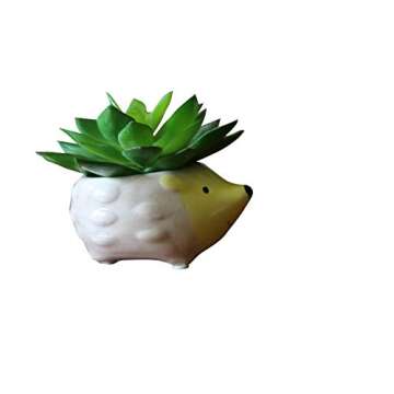 Cute Lemon Hedgehog Succulent Planter - Perfect Gift