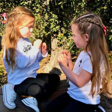 Flavored Honey Sticks - Farm Fresh US Honey Packets for Tea, Travel, Kids - Variety Flavors