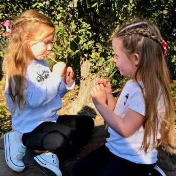 Flavored Honey Sticks - Farm Fresh US Honey Packets for Tea, Travel, Kids - Variety Flavors