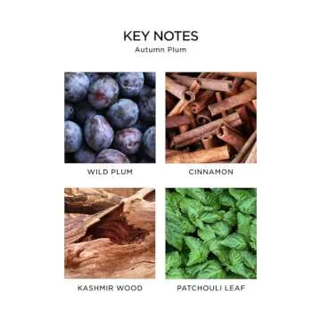 Luxurious NEST Reed Diffuser - Autumn Plum for Homes