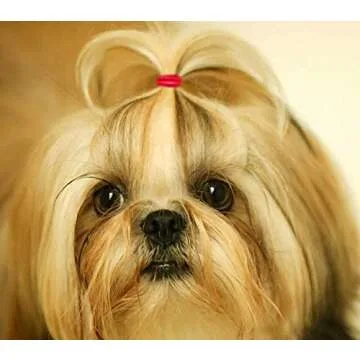 YOY 3/4" Pet Dog Stretchy Rubber Bands – 600 Count