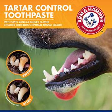 Arm & Hammer for Pets Tartar Control Dental Training Kit for Puppies | Dog Toothbrush, Toothpaste, & Fingerbrush, Total Kit for Ideal Puppy Dental Health | Yummy Vanilla Ginger Flavor (Pack of 1)