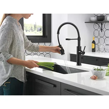 Delta Faucet Antoni Black Kitchen Pull Down Sprayer