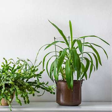 Rantu 4 Pack Adjustable Tomato Cages for Garden Growth