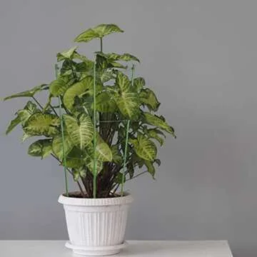 Rantu 4 Pack Adjustable Tomato Cages for Garden Growth