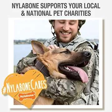 Nylabone PRO Action Dental Bone Power Chew Toy for Dogs, Dog Toys for Aggressive Chewers, Bacon Flavor, Medium - Up to 35 lbs, 1 Count