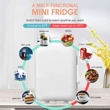 ARLIME Mini Fridge, 4 Liter Skincare Refrigerator, Beauty Small Compact Refrigerator, Portable Beer ...