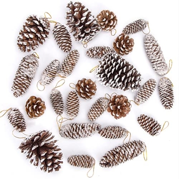 JOHOUSE Natural Pine Cones with Snow, 28PCS Christmas Pinecones with Strings Assortment Rustic Pine ...