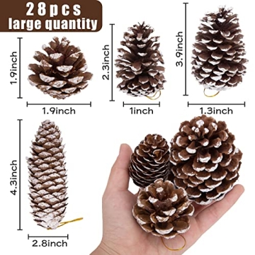 JOHOUSE Natural Pine Cones with Snow for Christmas Decor