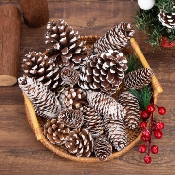 JOHOUSE Natural Pine Cones with Snow for Christmas Decor